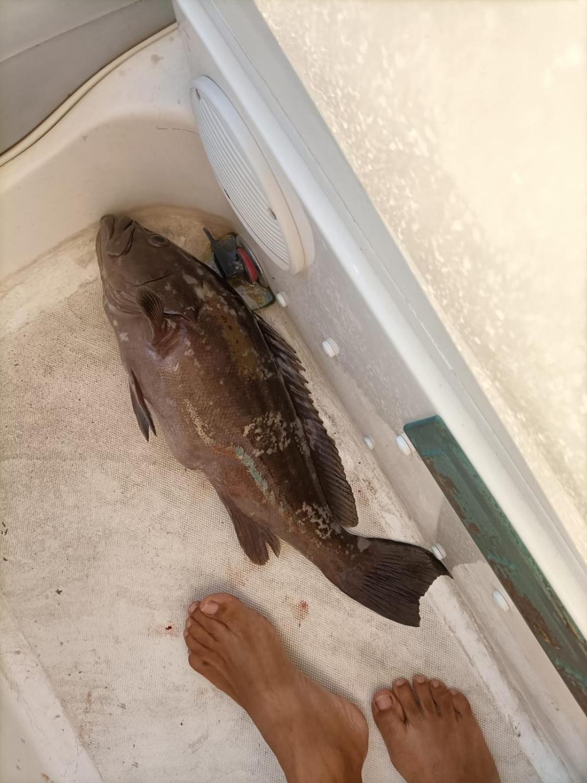 Levante Terrasini Kültér fotó